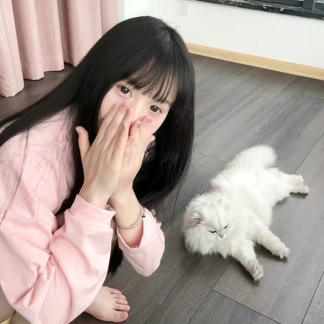 满仓进城 在线观看